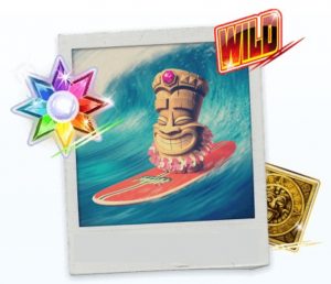 Casinowilds polaroid