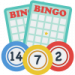hvordan spille bingo
