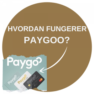 Hvordan fungerer Paygoo