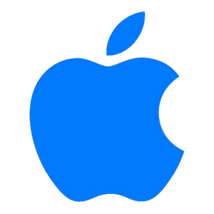 applepay logo