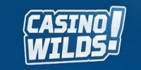 Casino Wilds logo